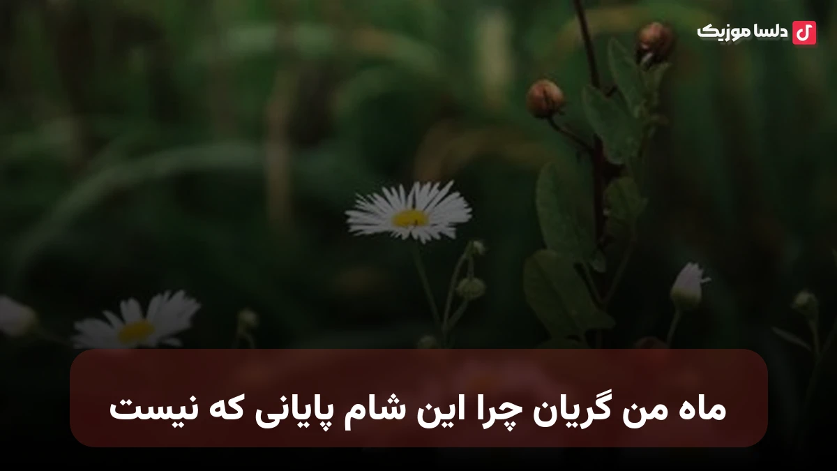 ماه من گریان چرا این شام پایانی که نیست